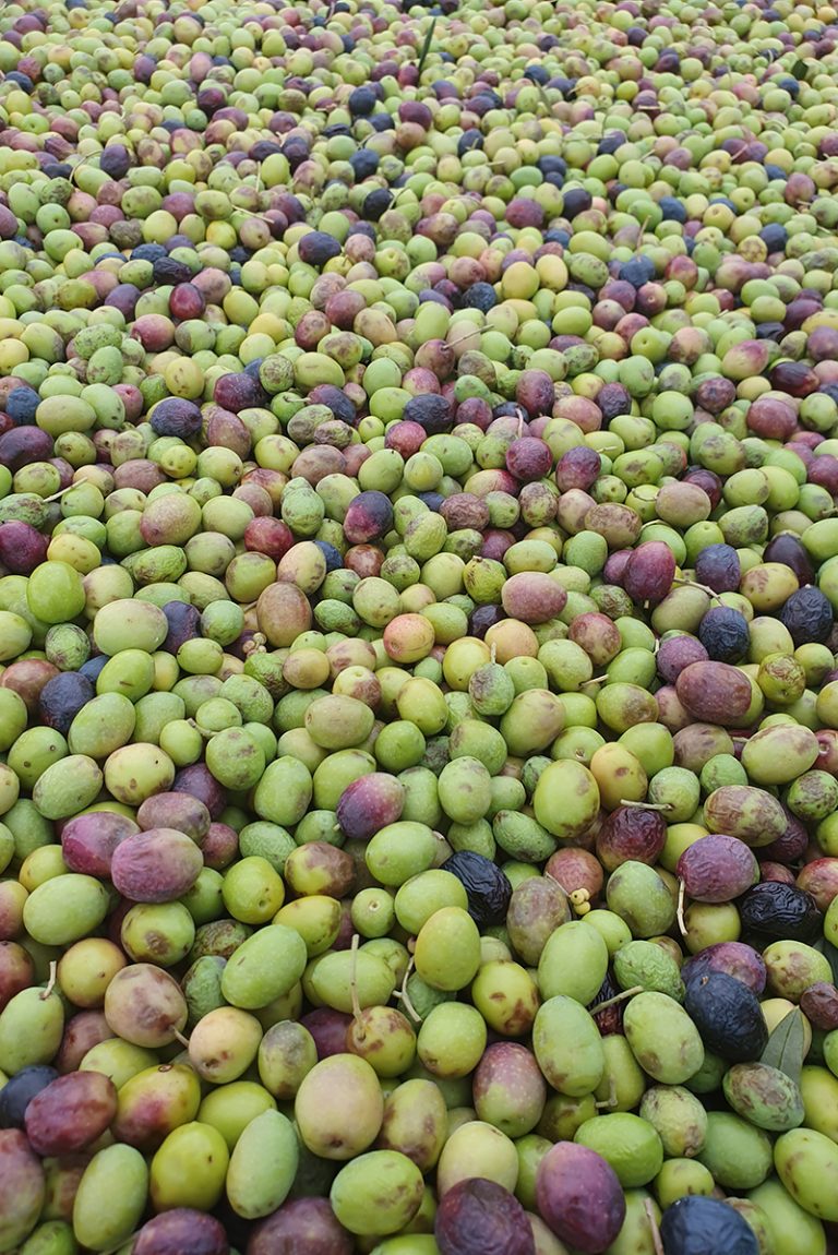 Olives
