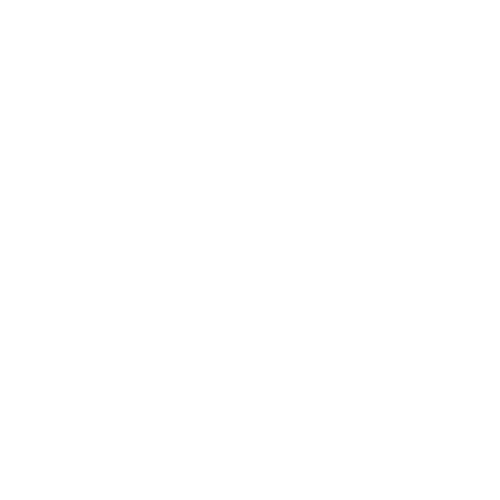 Pictogramme-Capacite