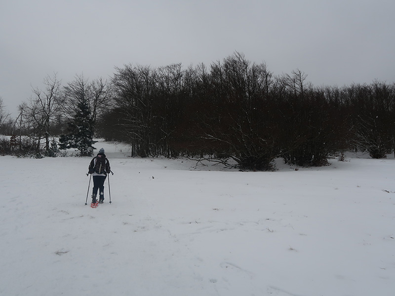 Randonnee-Vercors-Hiver - Copie
